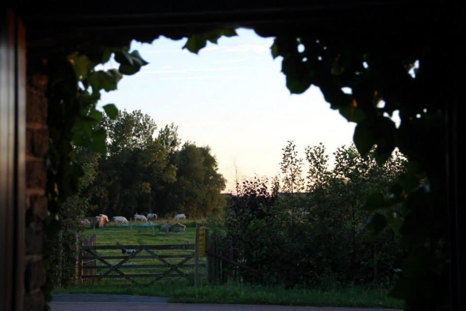 Polder 27 Villa Oudenburg Exterior foto